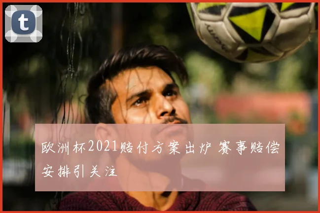 欧洲杯2021赔付方案出炉 赛事赔偿安排引关注