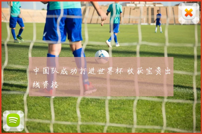 中国队成功打进世界杯 收获宝贵出线资格